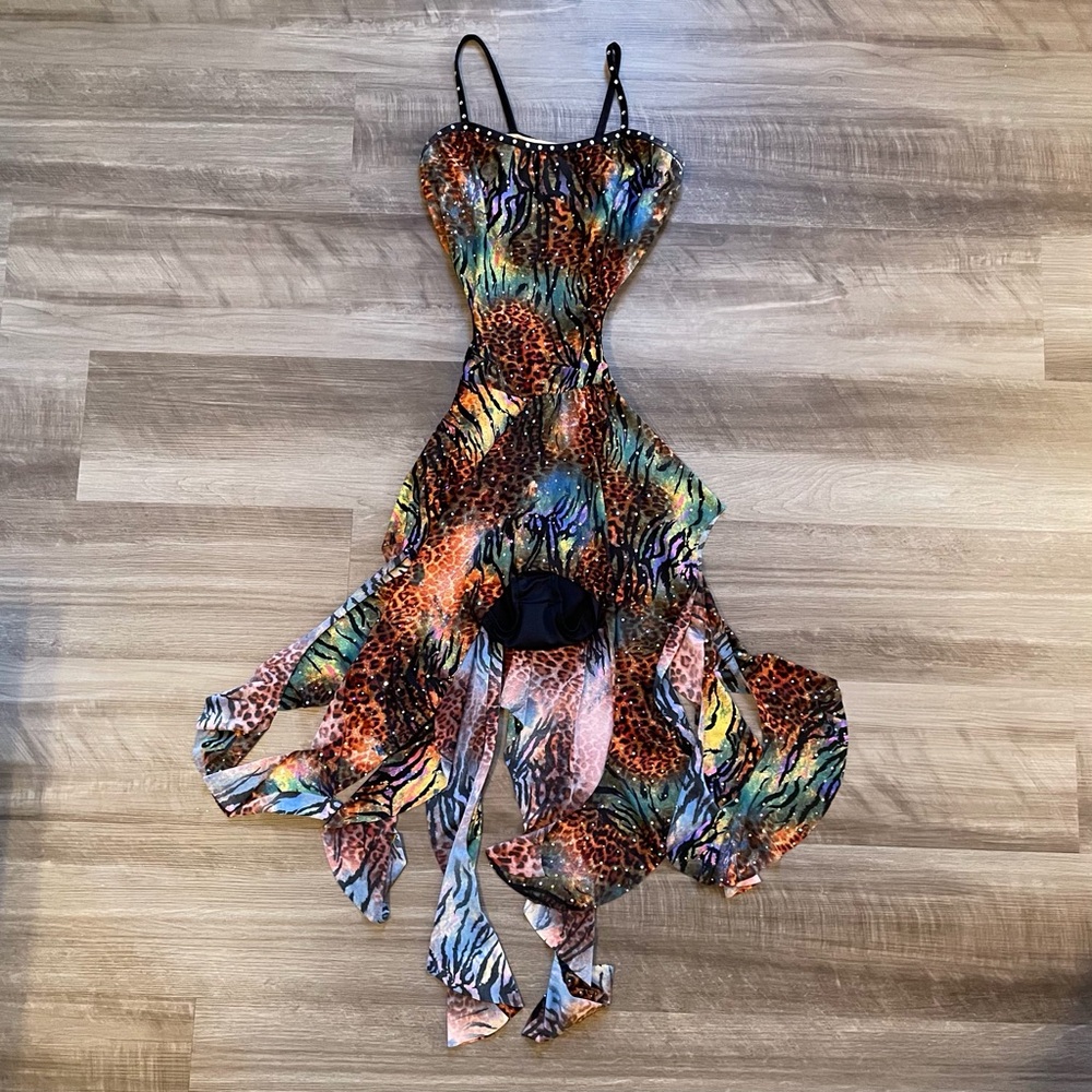 Multicolor Animal Print Dance Costume